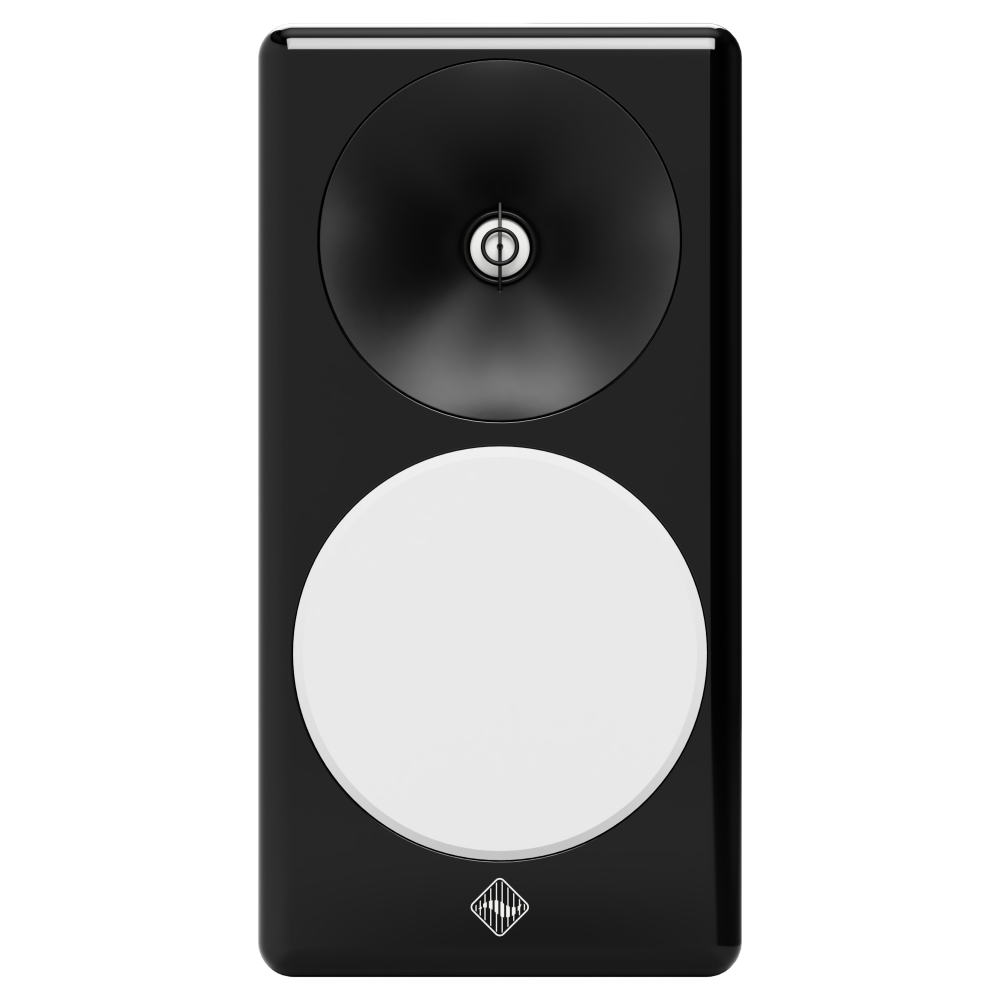 C6B Speaker Grills